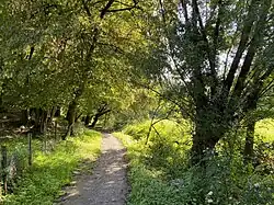 Wanderweg durch das NSG