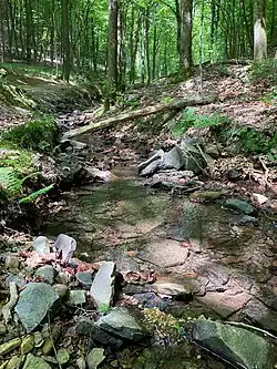 Das Bachbett der Wolfsbecke