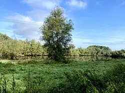 Baumberger Graben erweitert sich zu einem See