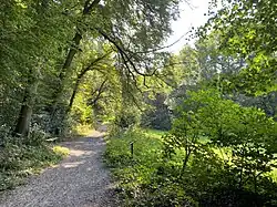 Wanderweg Weinberg durch das NSG Vogelsangbachtal