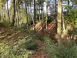 Rodenbuschbachtal im Norden des NSG