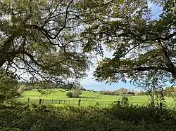 Waldrand des NSG Am Hasenbruch