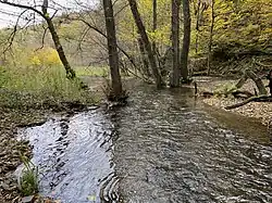 Stelle geringer Fließdynamik im Unterlauf des Marscheider Baches