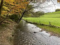 Marscheider Bach östl. Marscheid