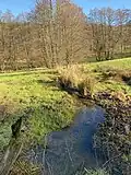 Vernässungsstelle des Brüggenbach – linker Zulauf zum Deilbach