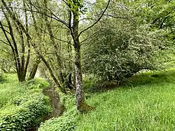 Obergraben Richtung Breitenbruch