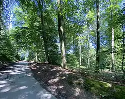 Zufahrtstraße – rechts das NSG