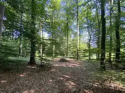 Blick von Westen in das NSG