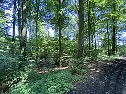 Blick von Westen in das NSG