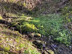 Bachbett Westener Siepen