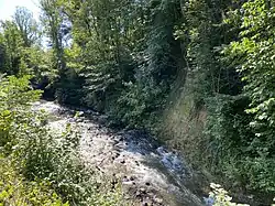 Düssel mit Steilufer und hoher Fließdynamik