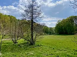 NSG Wilhelmsthaler Bach