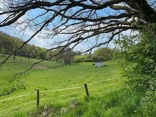 NSG Wilhelmsthaler Bach