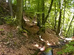 Landrat-Lucas-Weg im Wupperhang