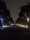 NTU Royal Palm Boulevard bei Nacht (Blick von der Bibliothek aus)