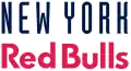 New York Red Bulls (16.)