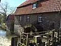 Nackte Mühle an der Nette