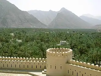 Das Fort von Nakhl in einer Dattelpalmoase, die bis an die Flanken des Hadschar heranreicht