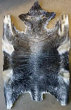 Natur-Swakara-Rohfell mit Klauen