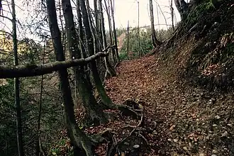 Wanderweg ab der Wiggernhütte