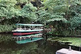 Jungle Cruise