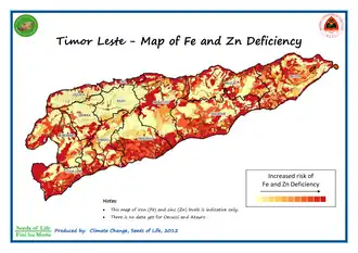 Eisen- und Zinkmangel[29]