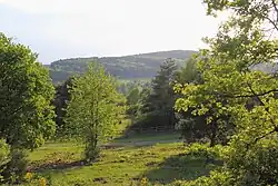 Blick über das Naturerbe-Gelände am Hang des Stengerts bis hin zum Erbig