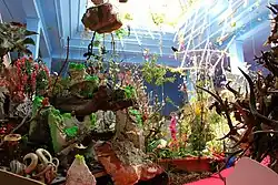 Gerda Steiner & Jörg Lenzlinger. Nationalpark Bündner Kunstmuseum Chur 2013