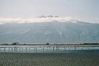 Der Gelai von der Südspitze des Natronsees aus gesehen.