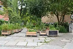 Urban Gardening im Inselgarten auf der Roten Insel, 2016