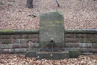 Naturdenkmal Fischbrünnchen am Westhang