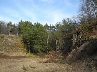 Teilansicht des Naturdenkmals Basaltbruch Schierenkopf