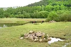 Aufgeschüttete Steinhügel sollen Vögeln als Ansitzwarten dienen und Amphibien, Reptilien und Insekten Lebensraum und Unterschlupf bieten