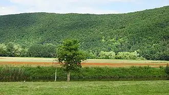 Ansicht vom Radweg bei Lindewerra.