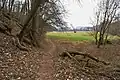 Pfad am Auenrand im NSG