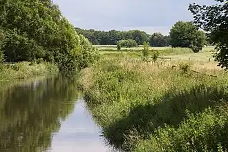 Naturschutzgebiet Fuhsetal bei Eixe
