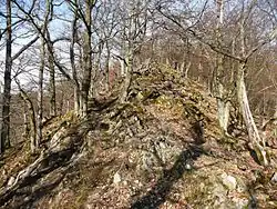 Anstieg zur Hünselburg von Süden