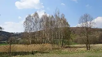 Partie im unteren Haselgrund.