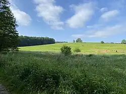 Naturschutzgebiet Käsbachtal