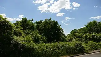 Mühlbachtal von Bergen-Enkheim Ostansicht