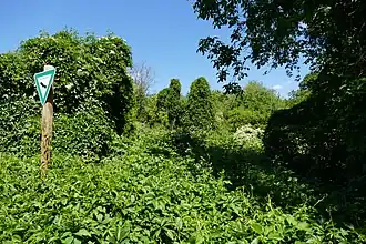 Mühlbachtal von Bergen-Enkheim Westansicht