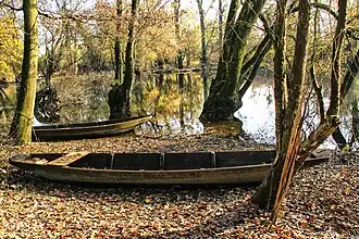 Rheinaue bei Leimersheim