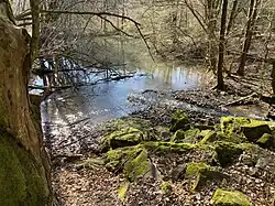 Teich im unteren Steinbachtal