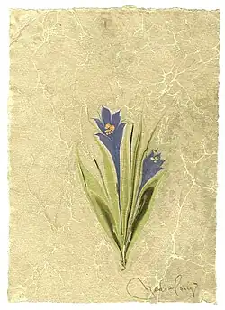 Nedim Sönmez: Enzian