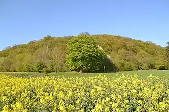 Blick zum Nenkel (2016)