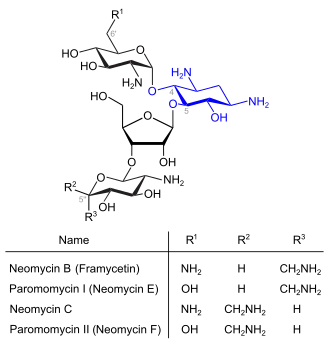 Neomycine (blau: Desoxystreptaminstruktur)