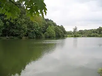 Nethestausee mit Stauanlage (Wehr) im Hintergrund