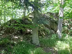 Hauptburgplateau mit erhöhter Felspartie. Ansicht von Südwesten