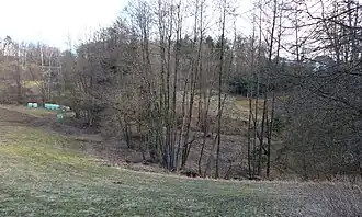 Wolfsbach (Gusen) beim Burgstall