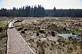 Steg zur Wasserstands-beobachtung im westlich gelegenen Hangquellmoor